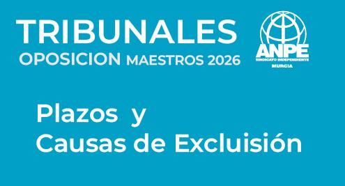 captura-de-pantalla-2026-02-11-161020